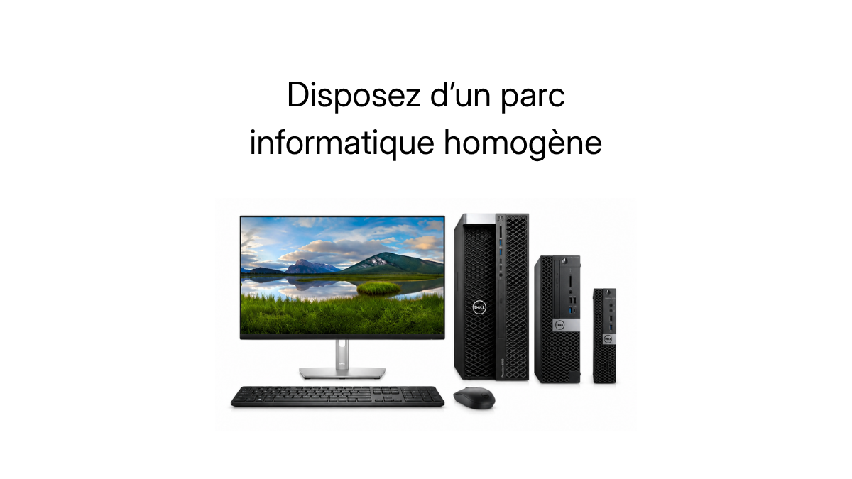 Parc informatique Dell homogène
