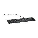 KB 216 - Loin.webp