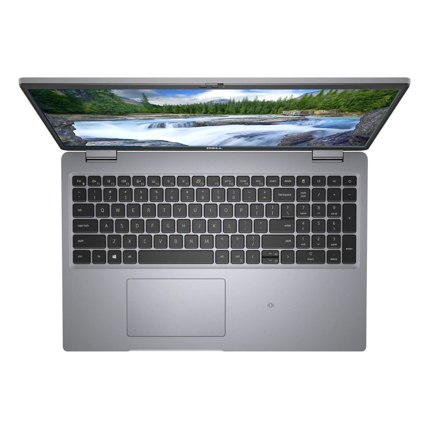 2.webp